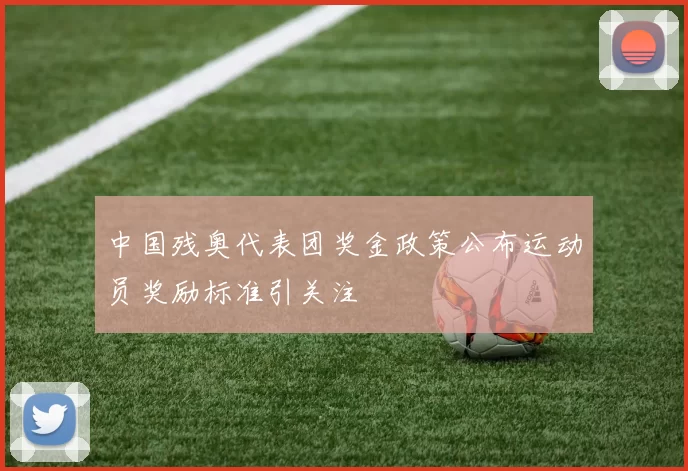 中国残奥代表团奖金政策公布运动员奖励标准引关注