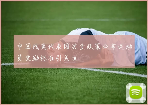中国残奥代表团奖金政策公布运动员奖励标准引关注