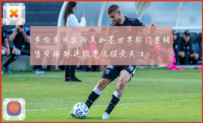 多伦多市发布美加墨世界杯门票销售安排 球迷购票流程受关注