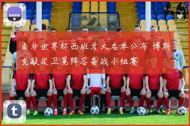 南非世界杯西班牙大名单公布 博斯克敲定卫冕阵容备战小组赛